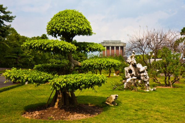 Hanoi (Halong Bay), Vietnam