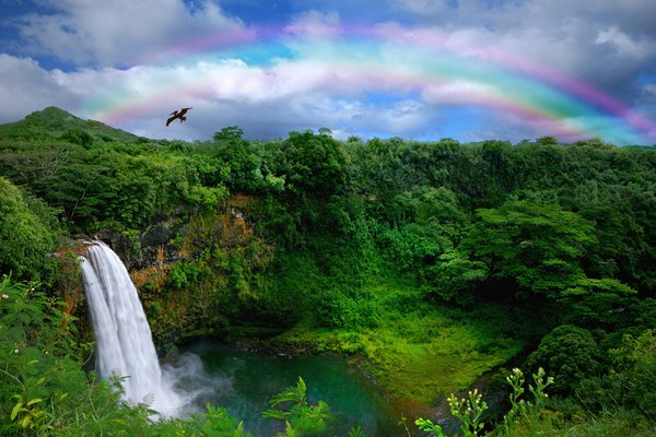 Nawiliwili, Kauai, Hawaii