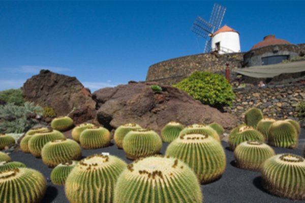 Lanzarote (Canary Islands), Spain