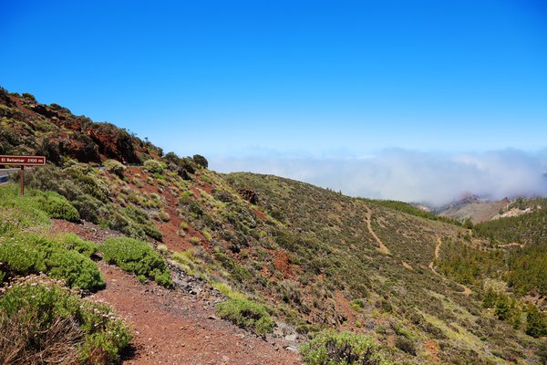 Santa Cruz de Tenerife, Spain